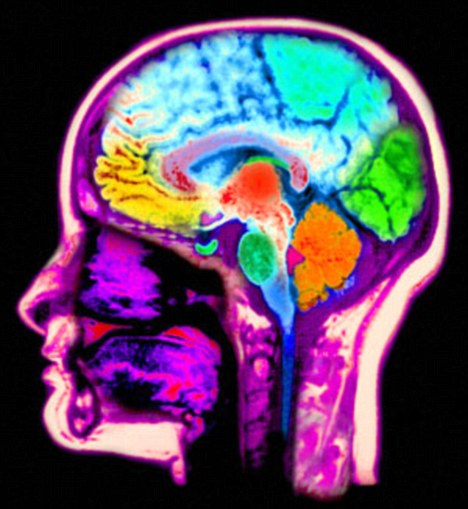 Violent games DO alter your brain - and the effect is visible in MRI scans  in just a week  Waldorf Today - Waldorf Employment, Teaching Jobs,  Positions & Vacancies in Waldorf Schools