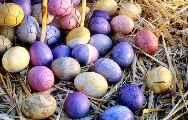 Natural Dyed Wooden Eggs - The Merrythought