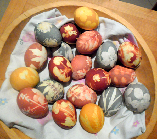 natural eggs
